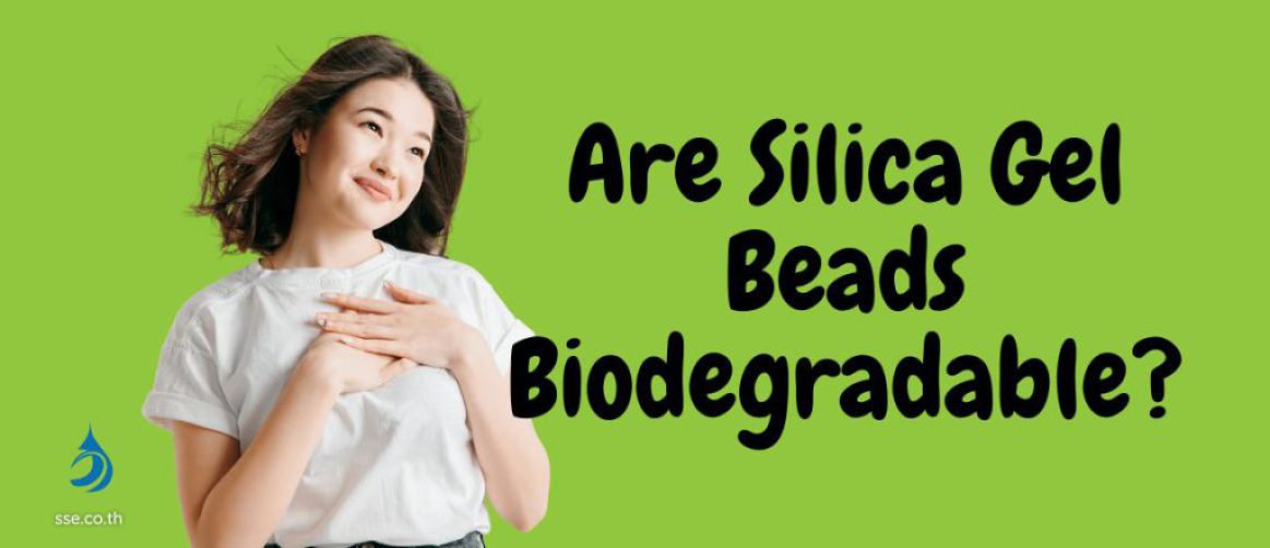 Are Silica Gel Beads Biodegradable