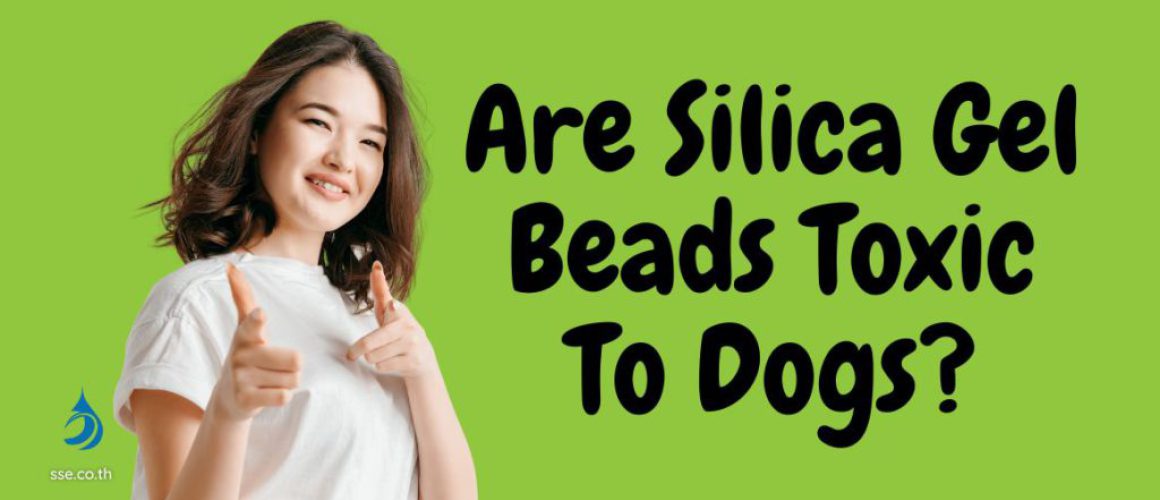 Are Silica Gel Beads Toxic To Dogs?