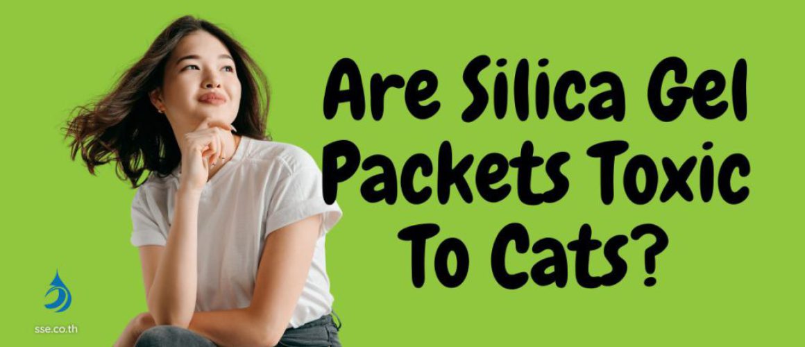 Are Silica Gel Packets Toxic To Cats?