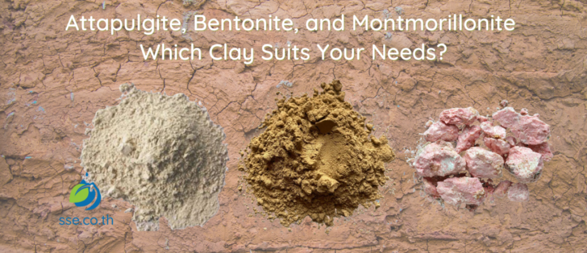 Attapulgite, Bentonite, and Montmorillonite