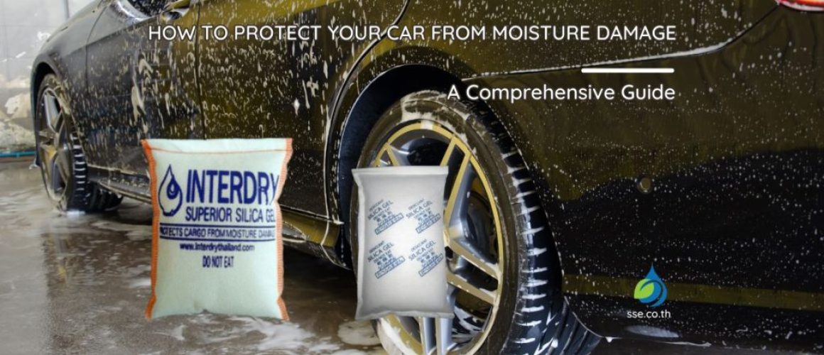 Protect Your Car from Moisture Damage