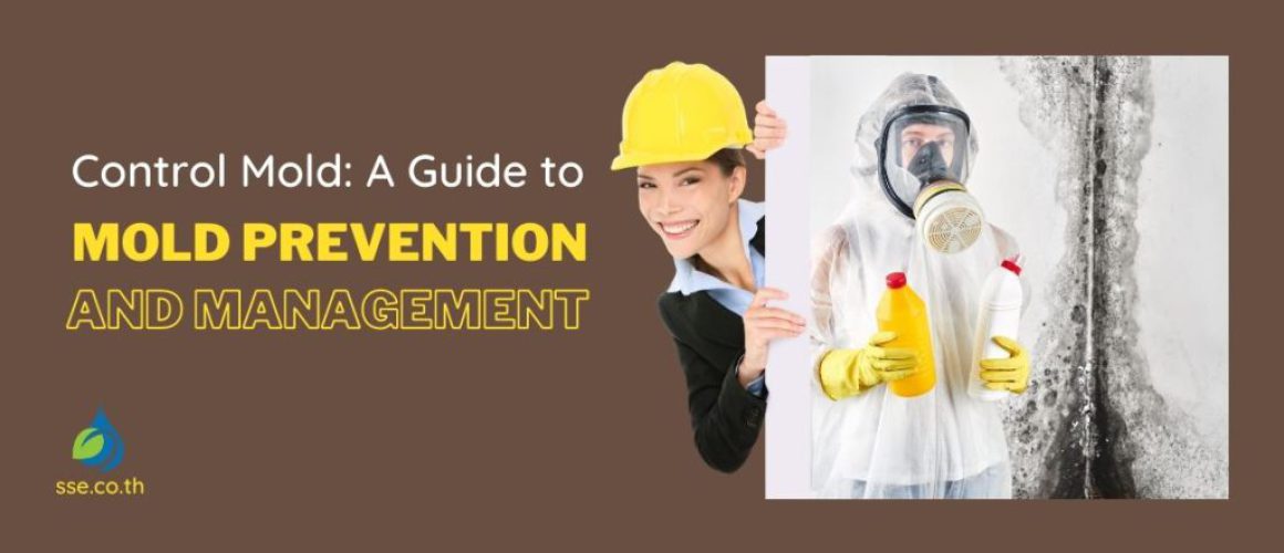 Mold Prevention and Management