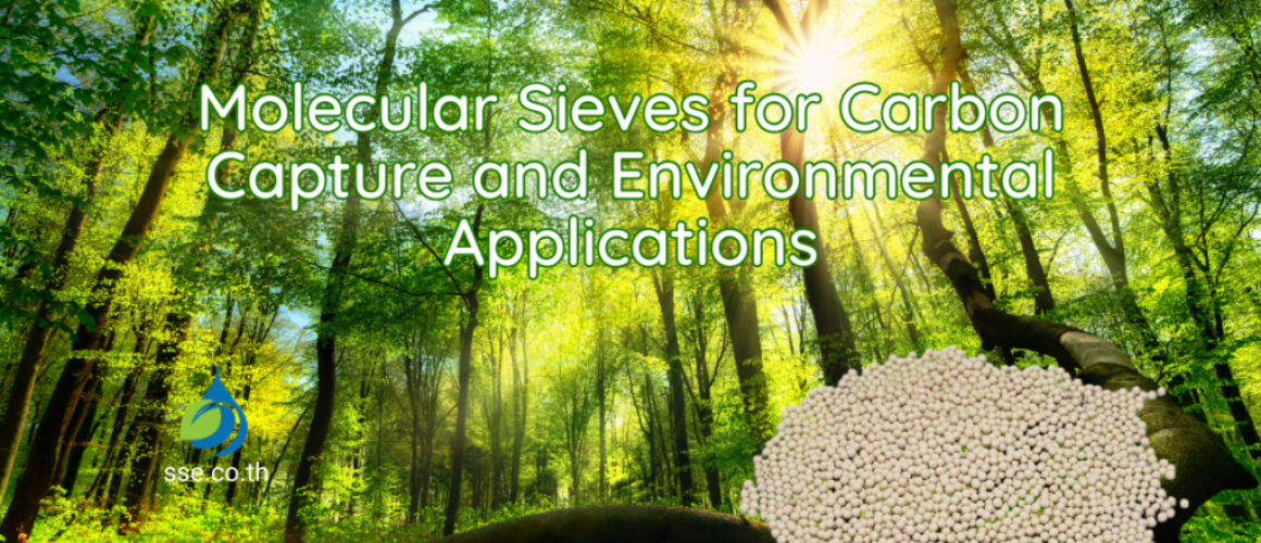 Molecular Sieves for Carbon Capture and Environmental Applications