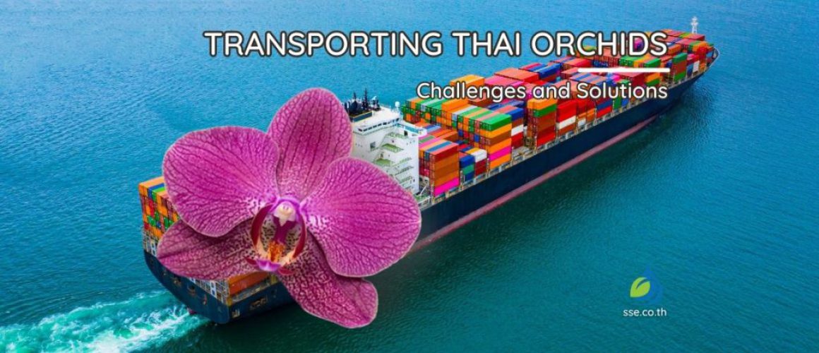 transporting thai orchids