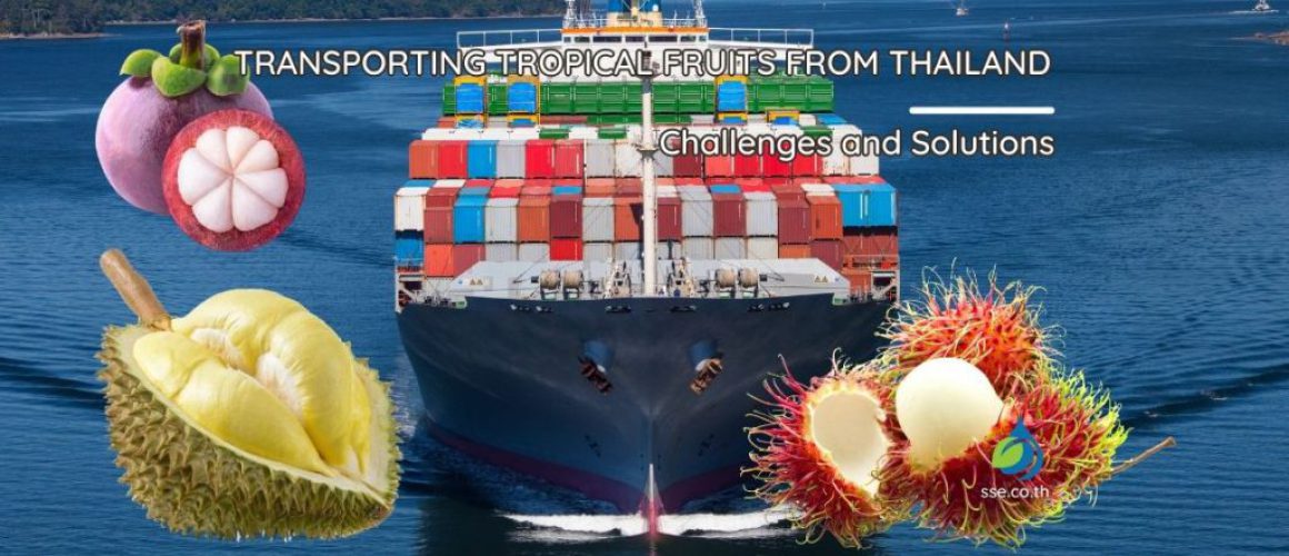 Transporting Tropical Fruits from Thailand