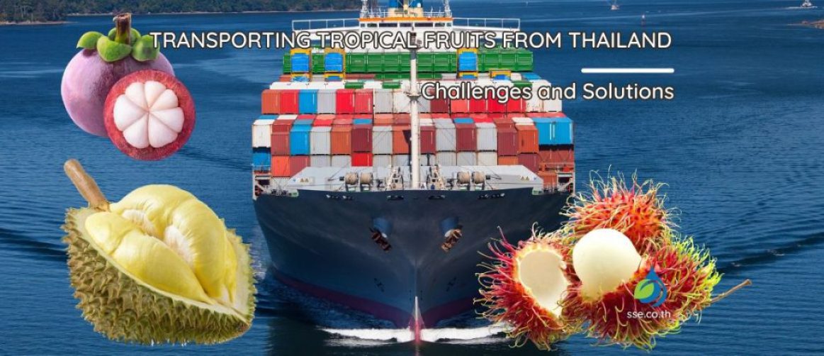 Transporting Tropical Fruits from Thailand