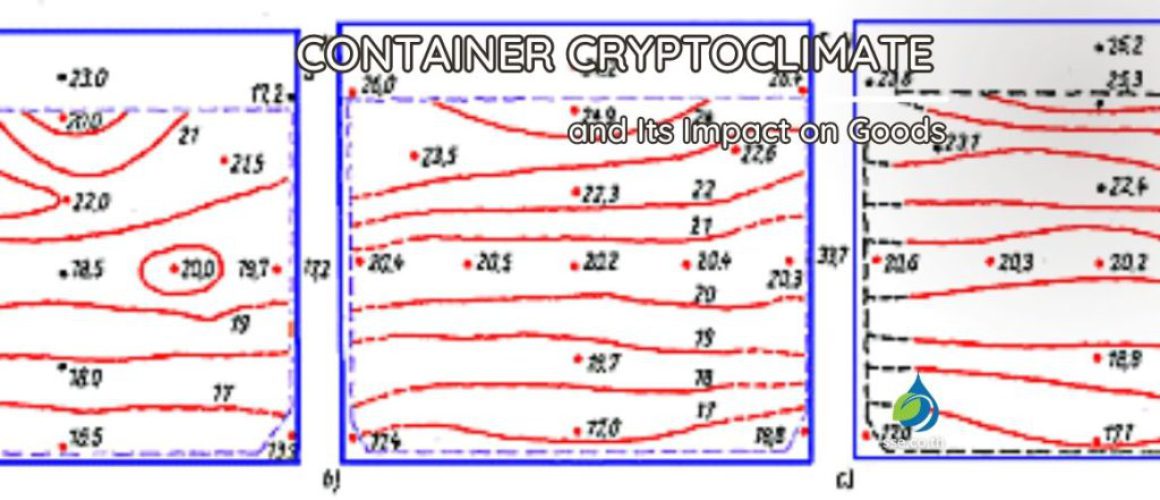 Container Cryptoclimate and Its Impact on Goods