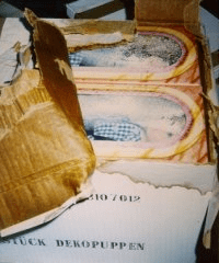 Mold damage on cargo that was not container dry; Photo: Scheen