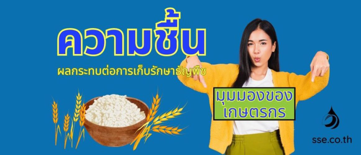 ความชื้นและผลกระทบต่อการเก็บรักษาธัญพืช